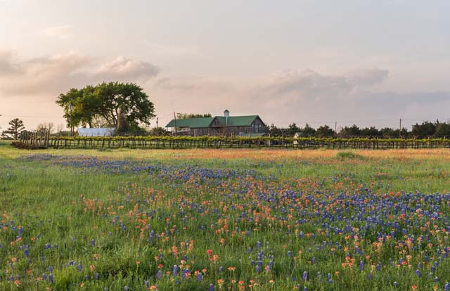 Brenham/Washington County